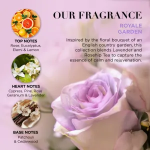 Baylis & Harding Royale Garden Lavender & Rose Hip Tea darčeková sada na telo a vlasy