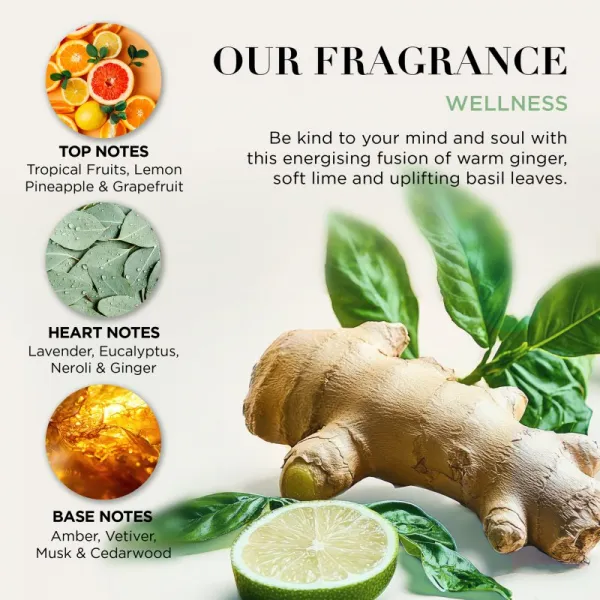 Baylis & Harding Wellness. Energise darčeková sada Ginger, Lime & Basil Leaf
