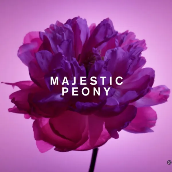 Viktor & Rolf Flowerbomb darčeková sada pre ženy
