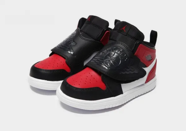Sky Jordan 1