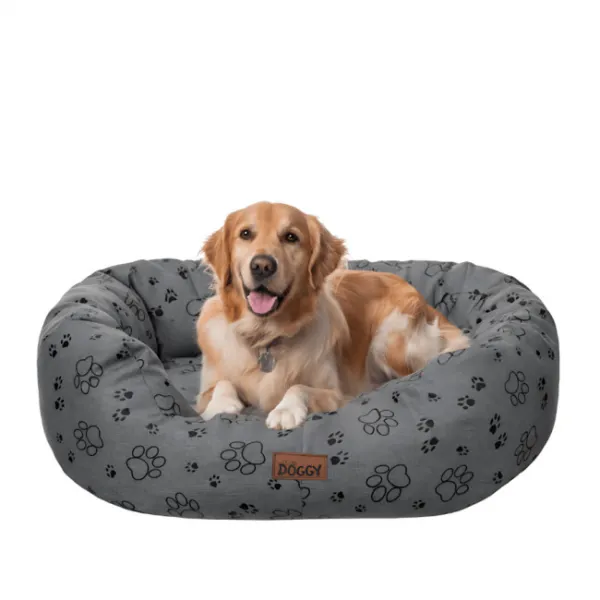 Reedog pelech Amazing Grafit Paws - XXL
