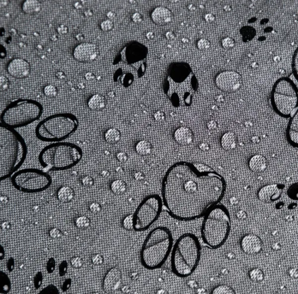 Reedog pelech Amazing Grafit Paws - XXL
