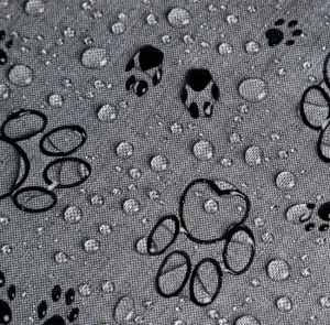 Reedog pelech Amazing Grafit Paws - XXL