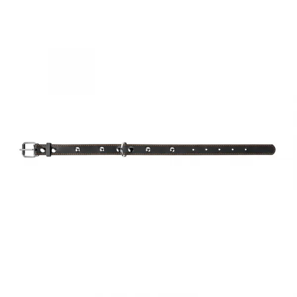Kožený obojok s kovovou dekoráciou dvojvrstvový čierny, Obvod krku: dĺžka: 32 - 40 cm, širka: 20 mm
