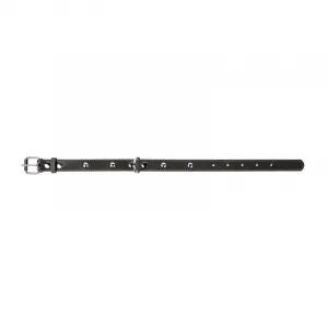 Kožený obojok s kovovou dekoráciou dvojvrstvový čierny, Obvod krku: dĺžka: 32 - 40 cm, širka: 20 mm