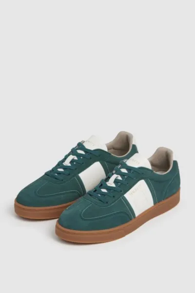 Tenisky Hackett London Harper League Sherwood Green
