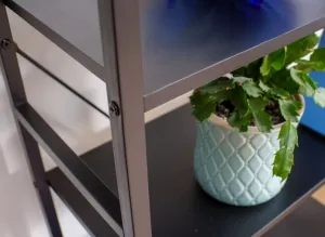 Signal Regál LOFT 4 | čierna