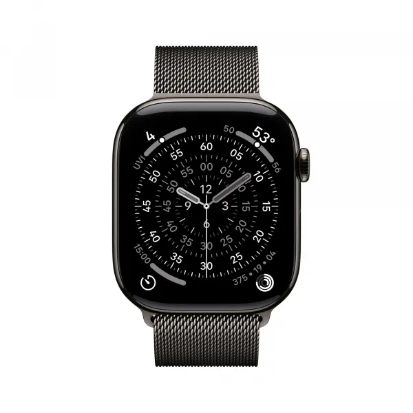 Apple Watch S11 Cell/46/Elegant Band/Slate