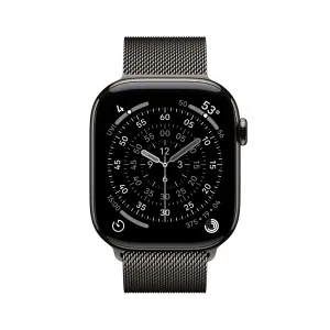 Apple Watch S11 Cell/46/Elegant Band/Slate