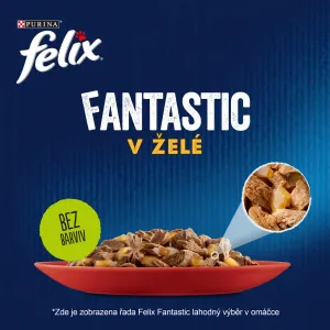 Felix Fantastic kapsičky pre mačky kura, hovädzie, králik, jahňacie v želé 24×85 g