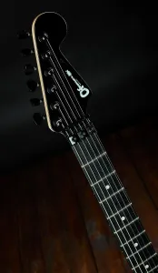 Charvel Custom Shop 2025 So-Cal 2H FR Zebra