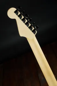 Charvel Custom Shop 2025 So-Cal 2H FR Zebra