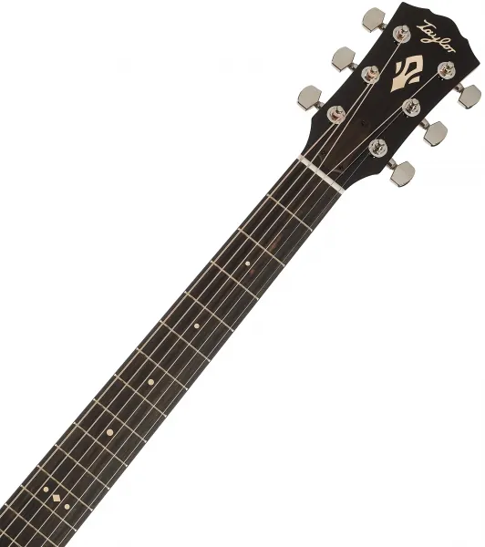 Taylor Gold Label 514e FS SB