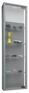 VCM Nástěnná vitrína Stano Mini, stříbrná