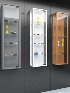 VCM Nástěnná vitrína Stano Mini s LED osvětlením, stříbrná