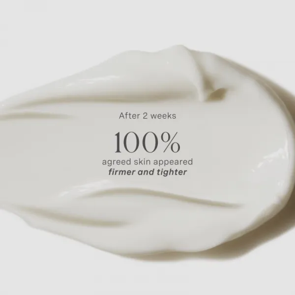 LANCER GRAVITY DEFYING Moisturiser spevňujúci a liftingový denný krém 50 ml