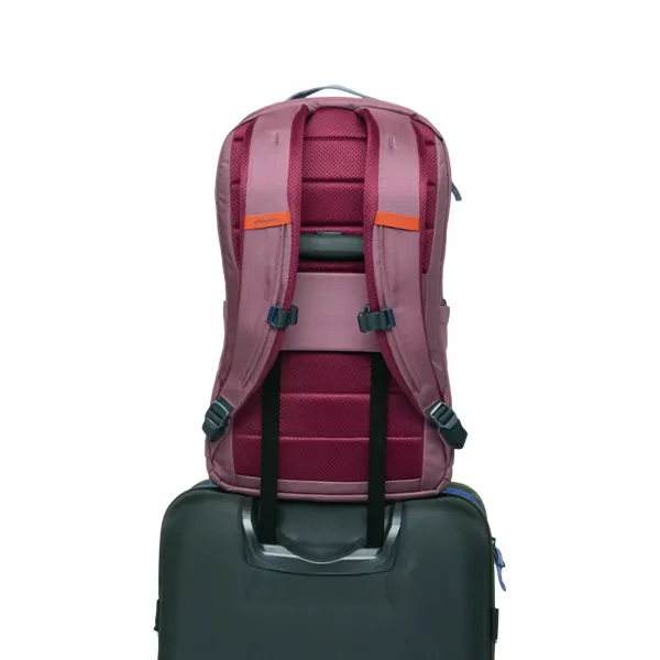 Cotopaxi Allpa Daypack 26L "Fig" (F25492U1497-FIG)