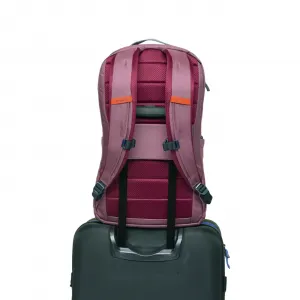 Cotopaxi Allpa Daypack 26L "Fig" (F25492U1497-FIG)