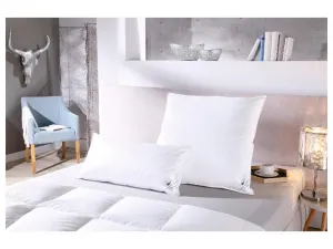 Häussling Vankúš Premium s perím a páperím (65 x 65 cm)