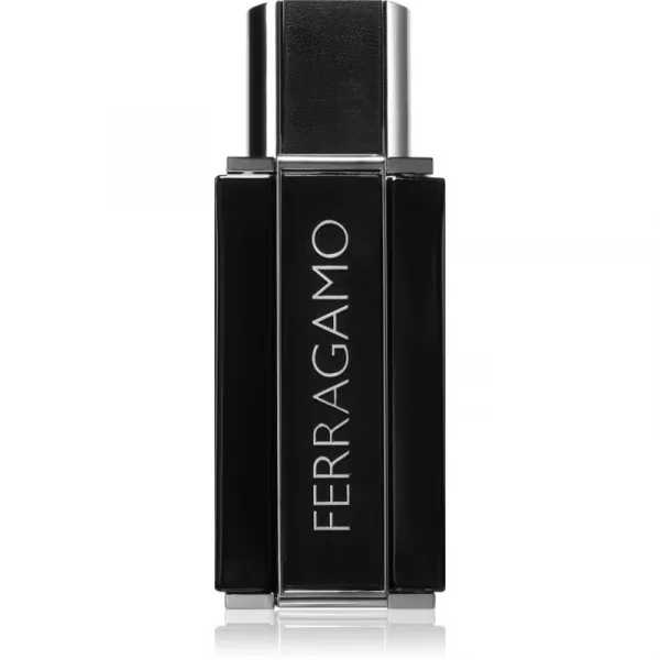 Ferragamo Sublime Leather parfumovaná voda pre mužov 50 ml