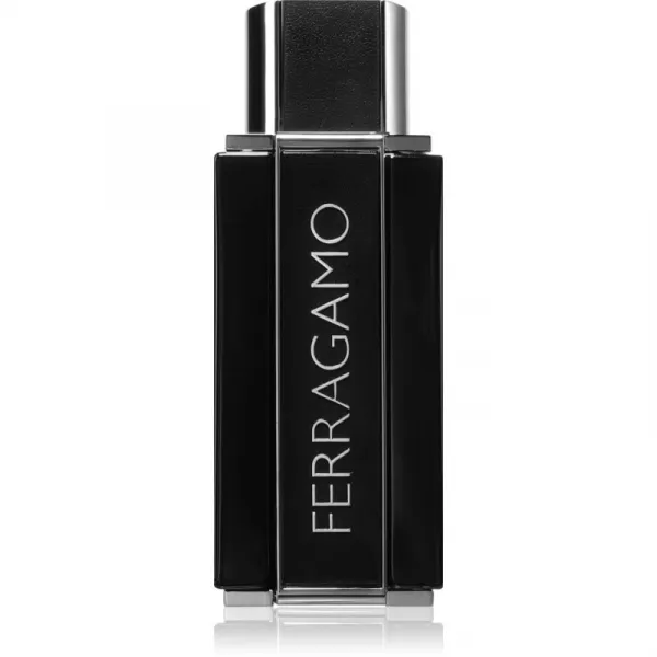 Ferragamo Sublime Leather parfumovaná voda pre mužov 100 ml
