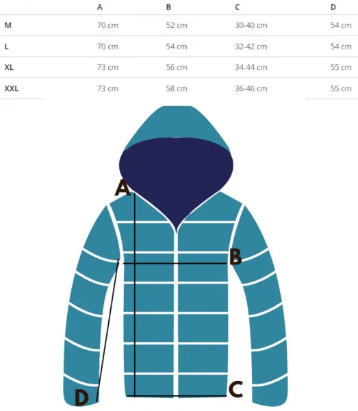 Pri Men's warm sweatshirt with a hood, plain, one-color