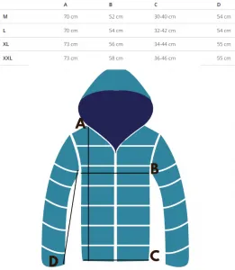 Pri Men's warm sweatshirt with a hood, plain, one-color