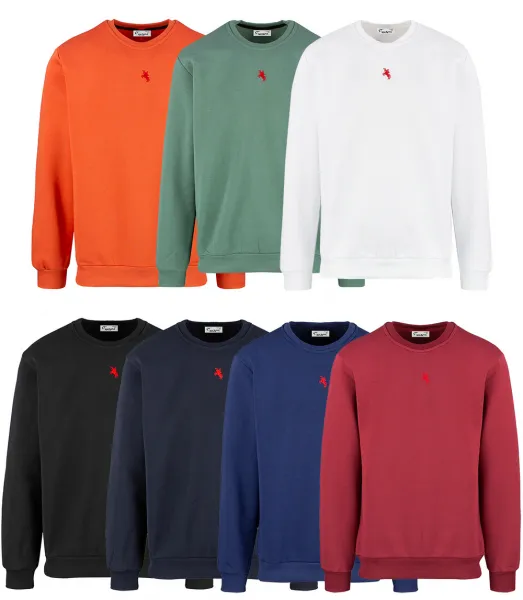 Pri Men's warm sweatshirt with ozodbone embroidery