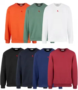 Pri Men's warm sweatshirt with ozodbone embroidery