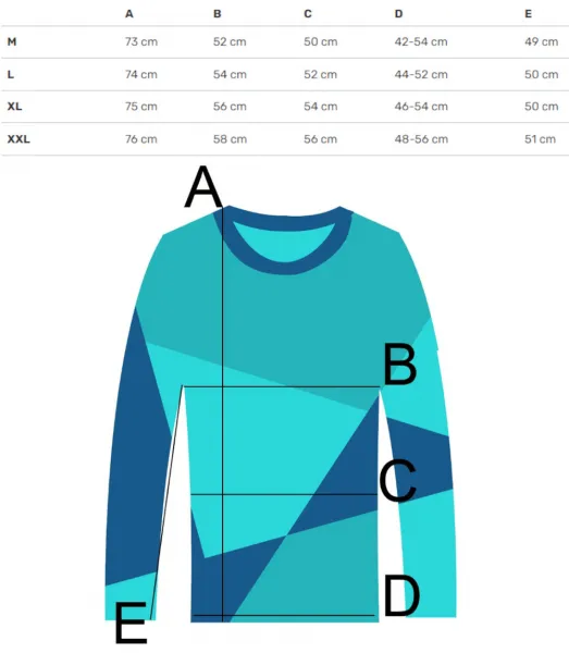 Pri Men's warm sweatshirt with ozodbone embroidery
