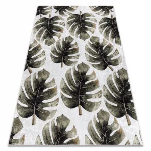 Koberec MIRO 52102.801 listy Monstera, zelený