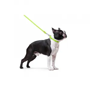 Okrúhly kožený obojok zelený, Obvod krku: 39-47cm, šírka obojku: 10mm