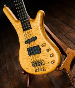 Warwick 2007 F.N.A. Jazzman Bartolini