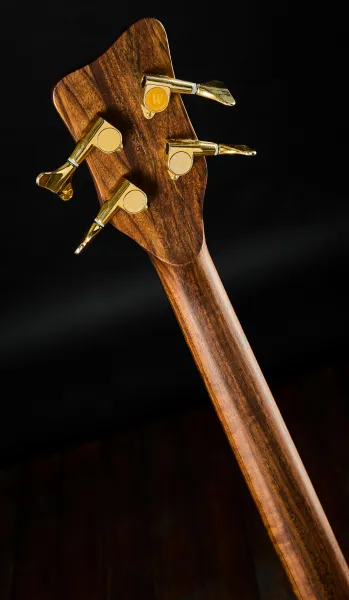 Warwick 2007 F.N.A. Jazzman Bartolini