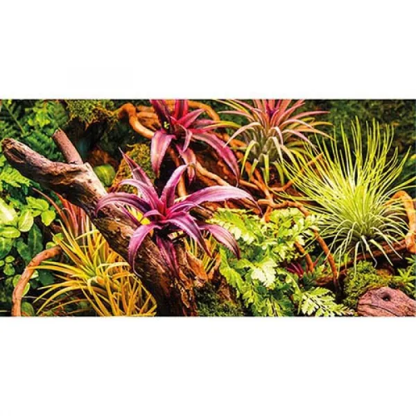 HOBBY Pozadie obojstranné Jungle / Strangler Fig 30cm x 25m