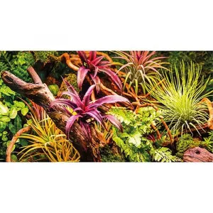 HOBBY Pozadie obojstranné Jungle / Strangler Fig 30cm x 25m