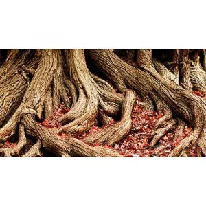 HOBBY Pozadie obojstranné Jungle / Strangler Fig 30cm x 25m