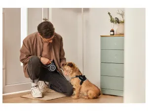 zoofari® Postroj pre psa