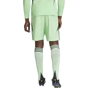 adidas TIRO24 SHORTS Pánske futbalové šortky, svetlo zelená, veľkosť
