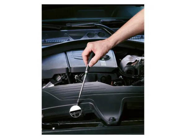 Parkside® Magnetické náradie (inšpekčné náradie, 2 kusy)