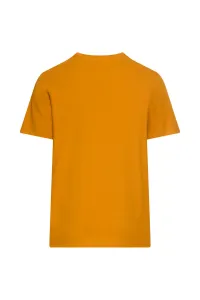 Tričko Camel Active T-Shirt 1/2 Burned Yellow