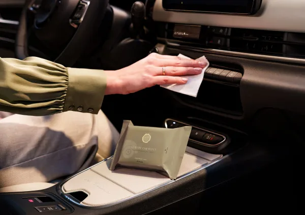 Cashmere Rose Car Wipes