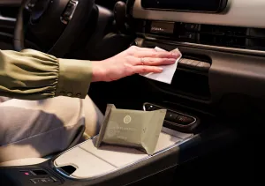 Cashmere Rose Car Wipes