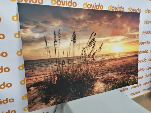 Obraz západ slnka na pláži
