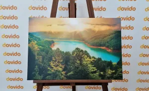 Obraz rieka uprostred zeleného lesa