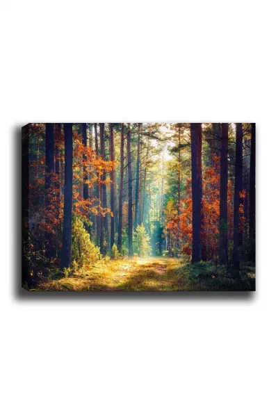 Dekoratívny obraz na plátne Kanvas Tablo (50 x 70) - 274