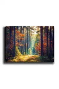 Dekoratívny obraz na plátne Kanvas Tablo (50 x 70) - 274