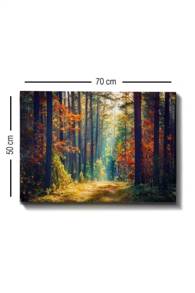Dekoratívny obraz na plátne Kanvas Tablo (50 x 70) - 274