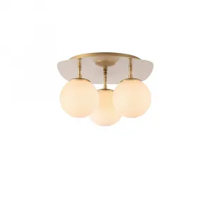 Luster Well - 11710