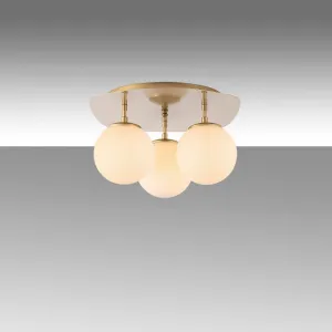 Luster Well - 11710
